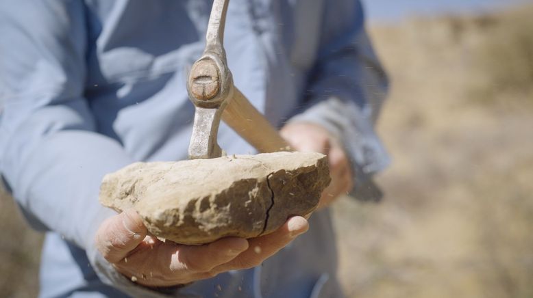 Asteroid - Der Dino-Killer aus dem All