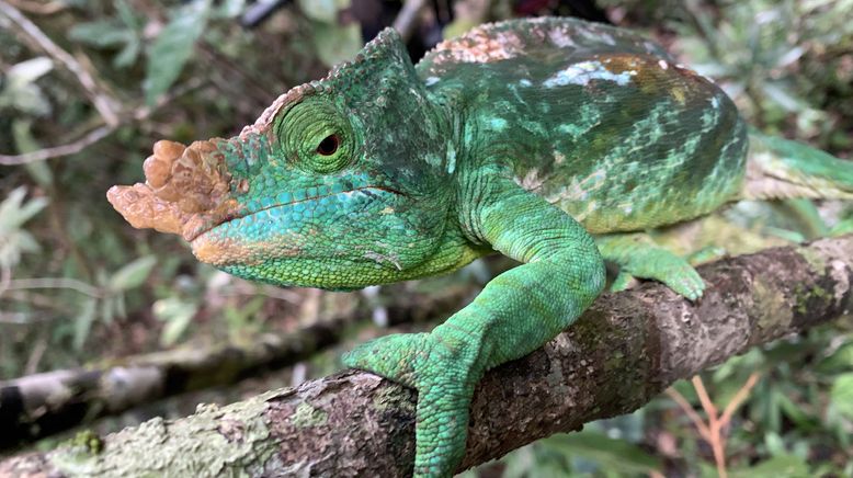 Unbekanntes Madagaskar