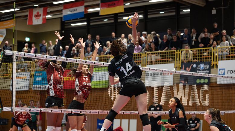 Volleyball - Bundesliga