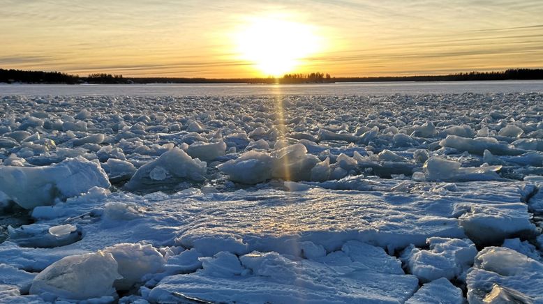 Frostige Winterabenteuer in Schweden