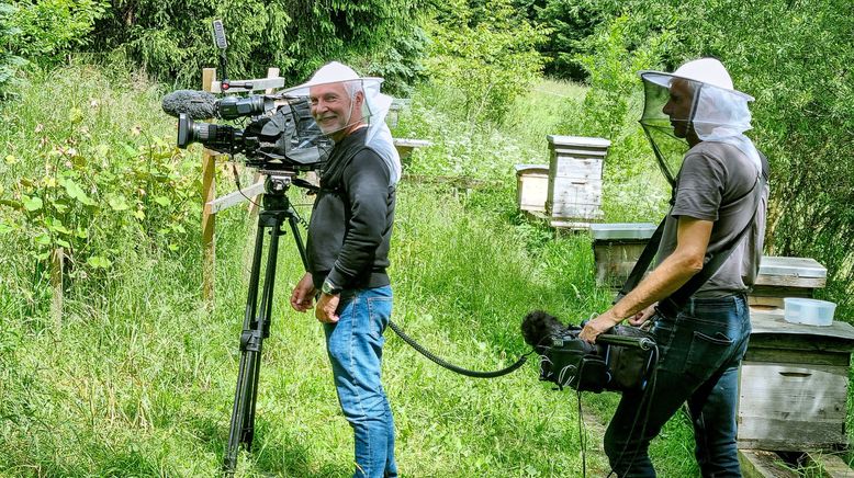 Österreich-Bild aus dem Landesstudio Kärnten