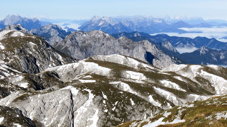 Roseggers Waldheimat - Ein Jahr im Zauberwald