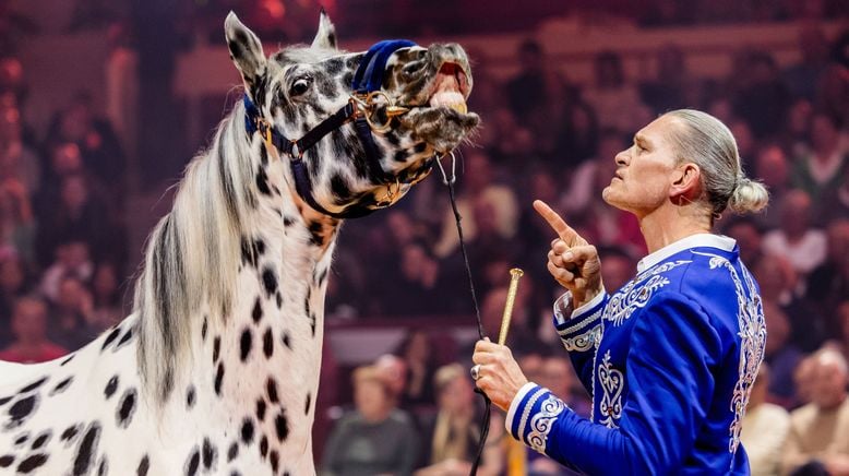 Stars in der Manege