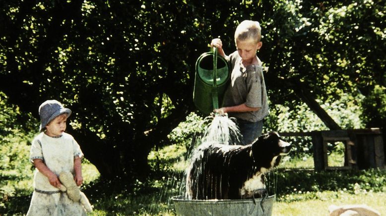 Die Kinder von Bullerbü