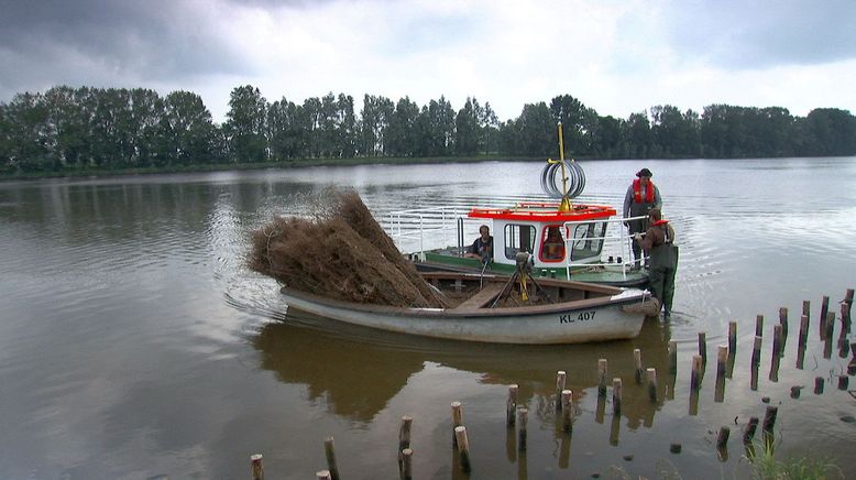 Land im Gezeitenstrom