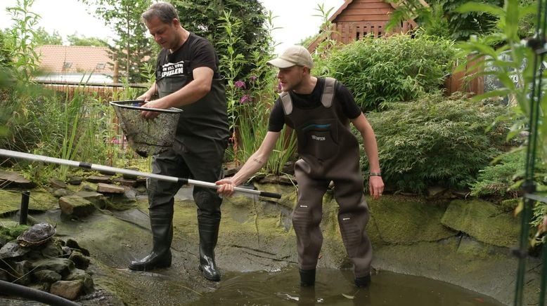 Martin Rütters Tierheimhelden