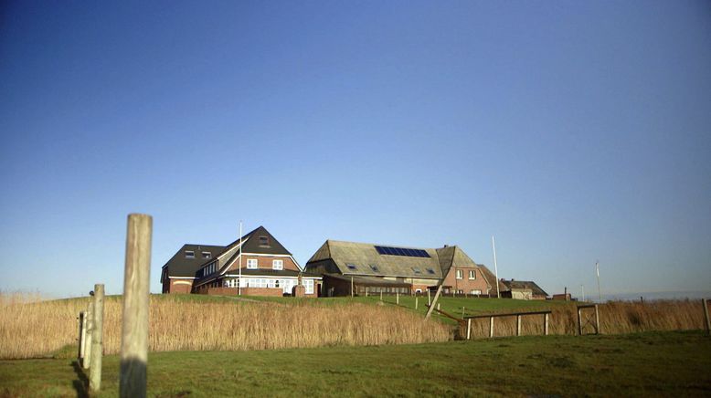 Winter auf den Halligen