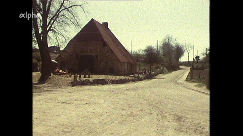 Beobachtungen auf einem Dorf