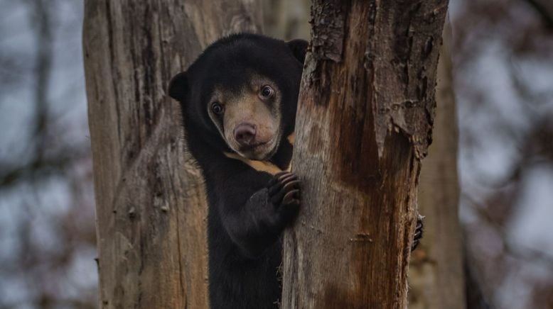 Zoo und so - Tierisch wild!