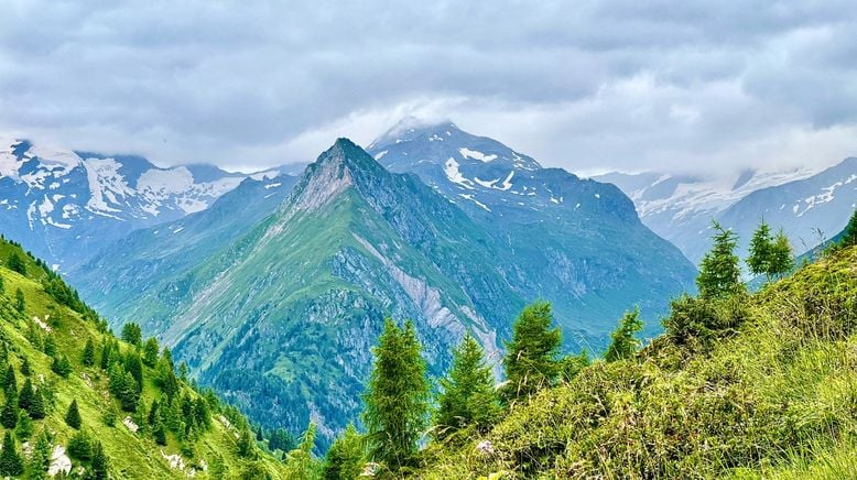 Bergleben in der Venedigergruppe