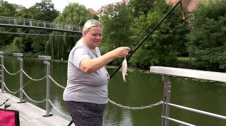 Hartz und herzlich - Tag für Tag Rostock