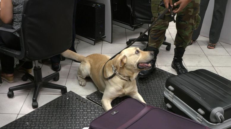 Airport Security: Peru