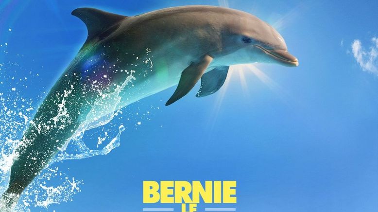 Bernie, der Delfin