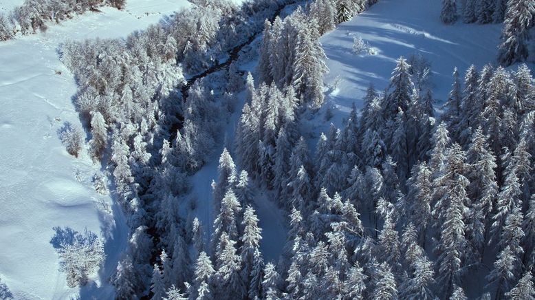 Der ersehnte Schnee