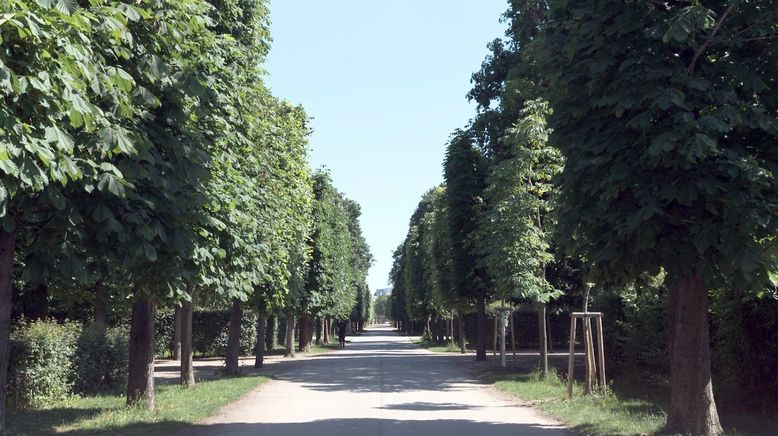 Schönheit am Donau-Gestade: Palais Augarten