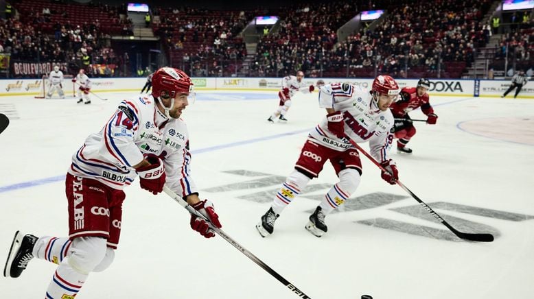 Eishockey Live - Svenska Hockeyligan