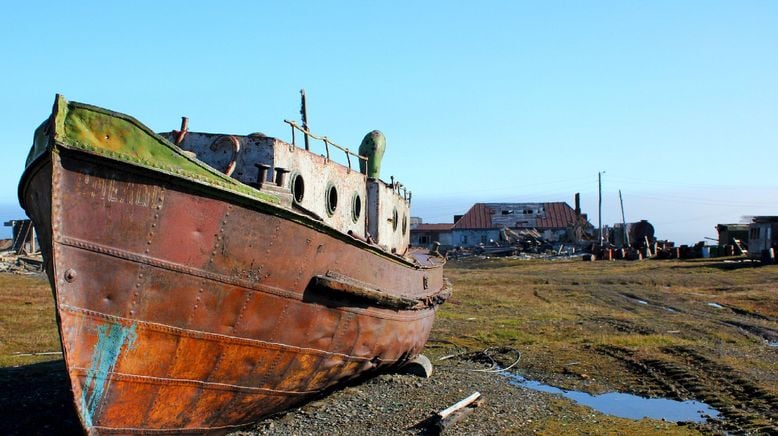 Wrangel Island - Im Treibhaus der Arktis