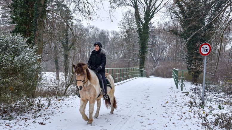 Magische Weihnachten