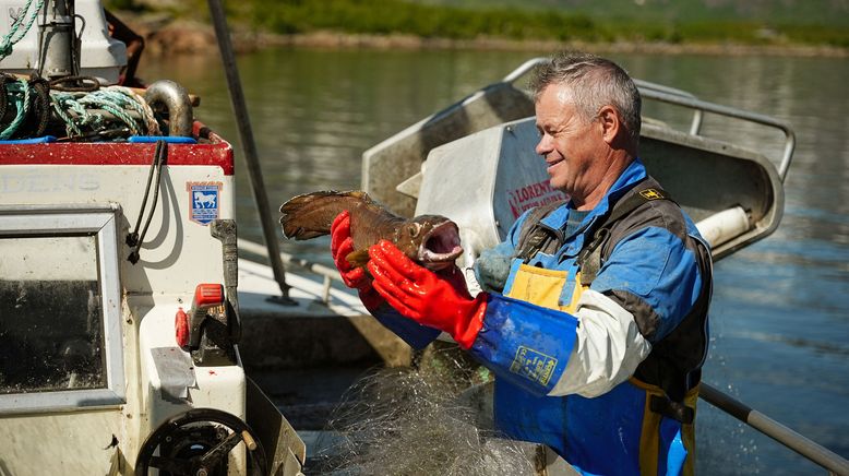 Nordseereport Spezial - Abenteuer Lofoten