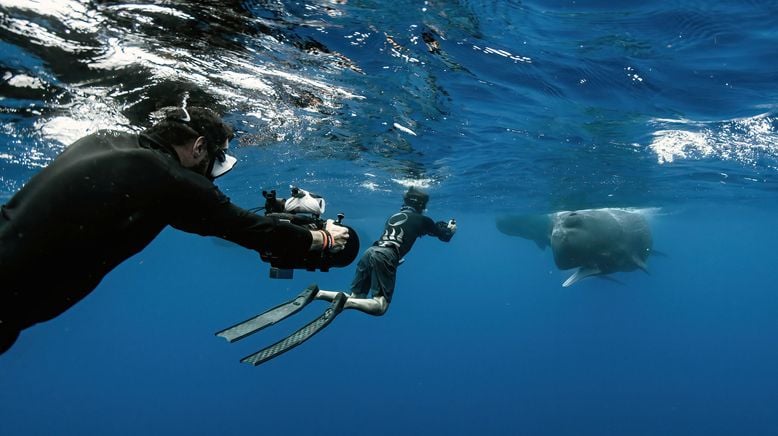 Patrick and the Whale