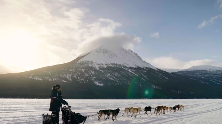 Musher - Mit meinen Schlittenhunden durch Alaska