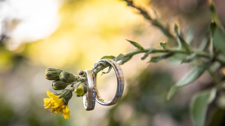 Hochzeit auf den ersten Blick