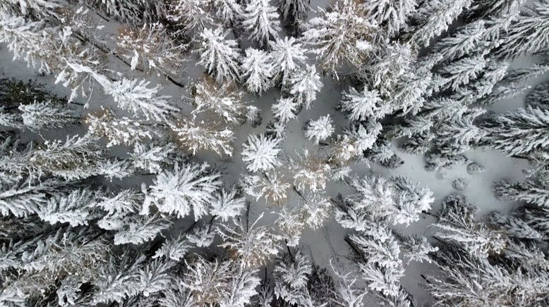 Weihnachtsklang in den Alpen