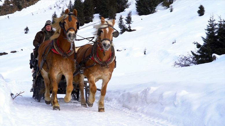 Weihnachtsklang in den Alpen