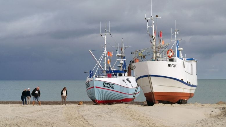 Leben an der Nordsee