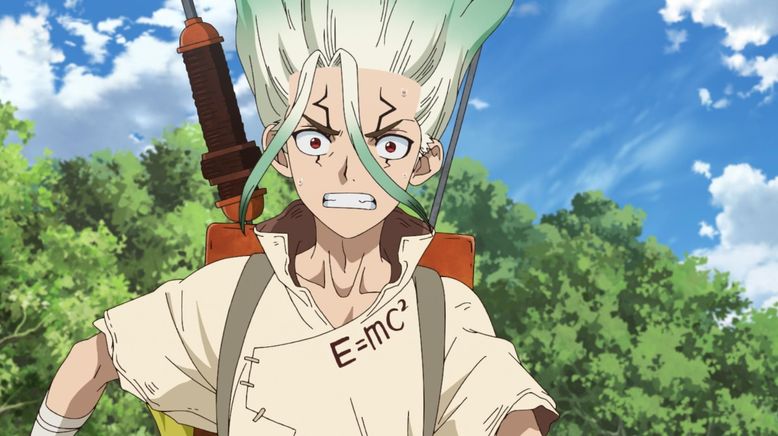 Dr. Stone