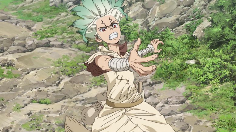 Dr. Stone