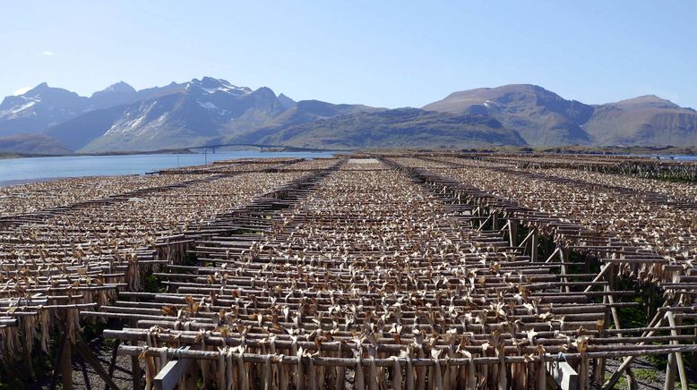 Ein Jahr auf den Lofoten