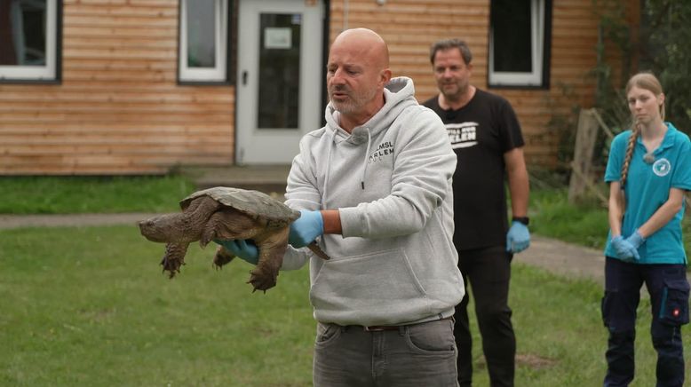 Martin Rütters Tierheimhelden