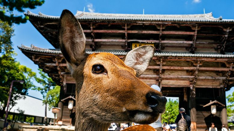 Wildes Japan - Land der tausend Inseln