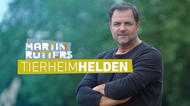 Martin Rütters Tierheimhelden