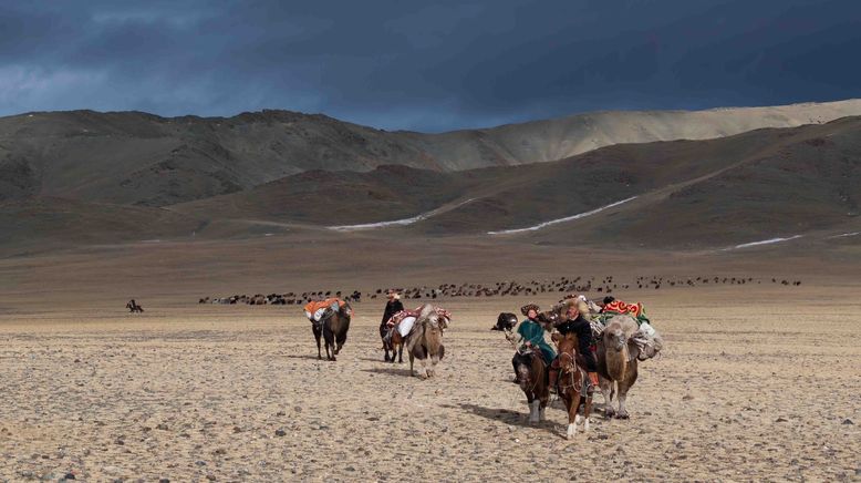 Die mongolische Adlerjägerin