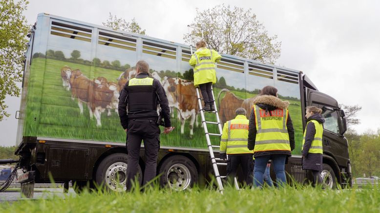 Achtung Tiertransport