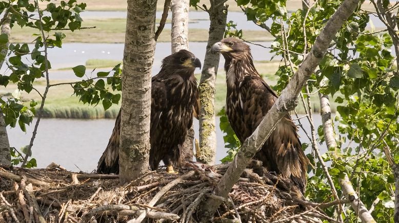 Hanseblick: Im Land der Motzen