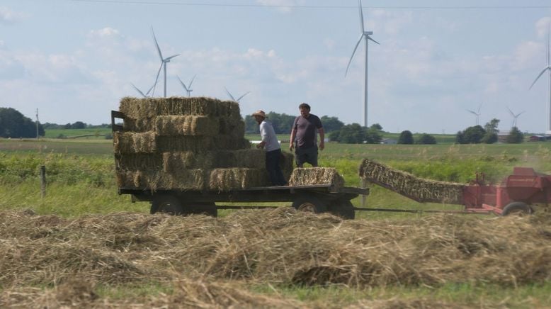 Die unglaubliche Pol-Farm