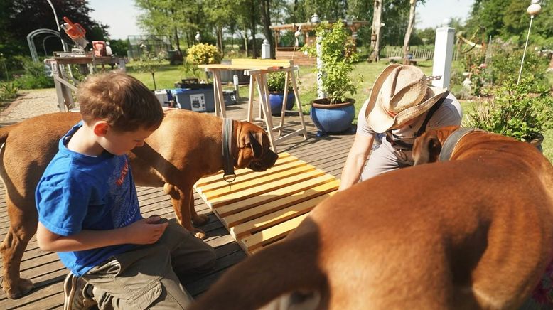 Die großen Hunde - Mit Martin Rütter