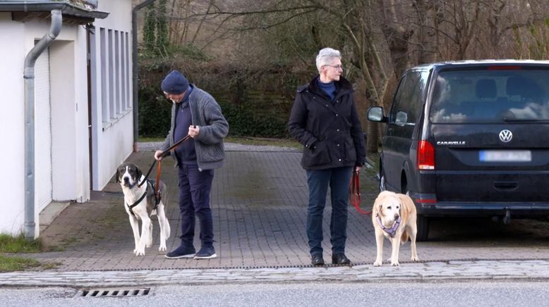 Die großen Hunde - Mit Martin Rütter