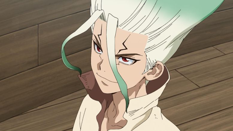 Dr. Stone