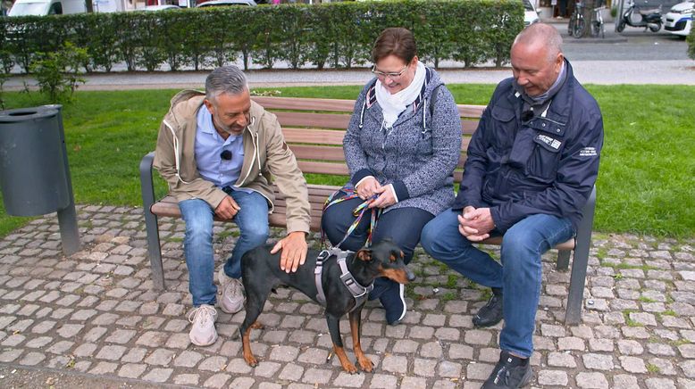 Ängstliche und aggressive Hunde beruhigen