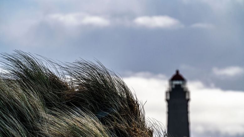 Winter in Borkum