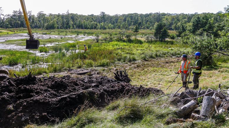 Die Schatzsucher von Oak Island