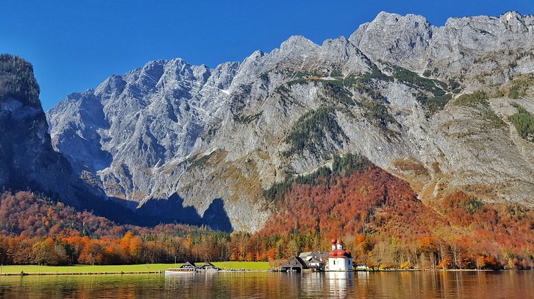 Natur am Königssee