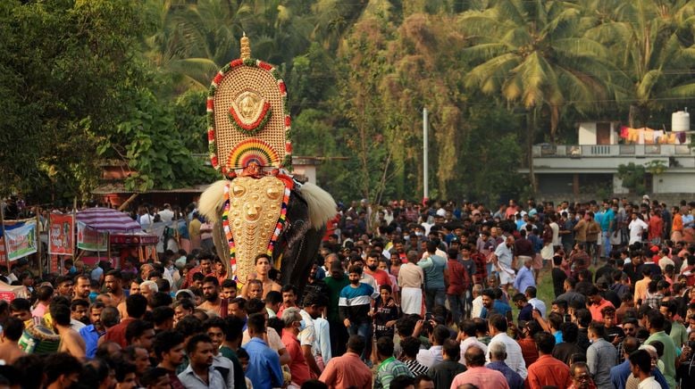 Kerala - Indiens tropischer Garten