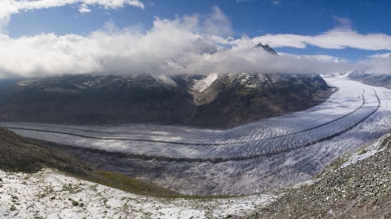 Unsere wilde Schweiz