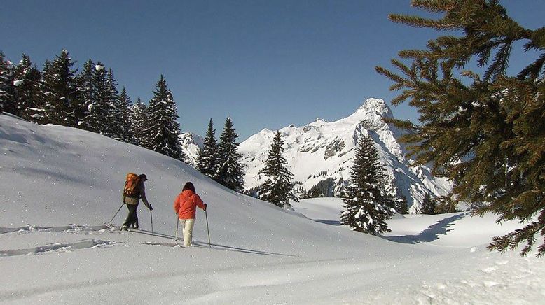 Winteridylle in den österreichischen Alpen