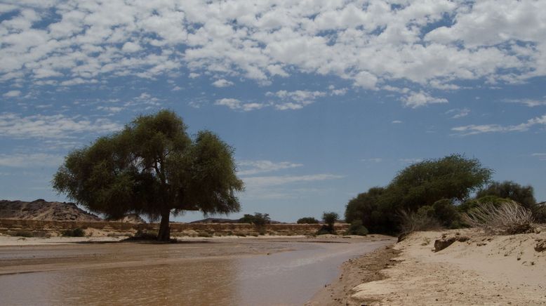 Die wilden Flüsse Afrikas